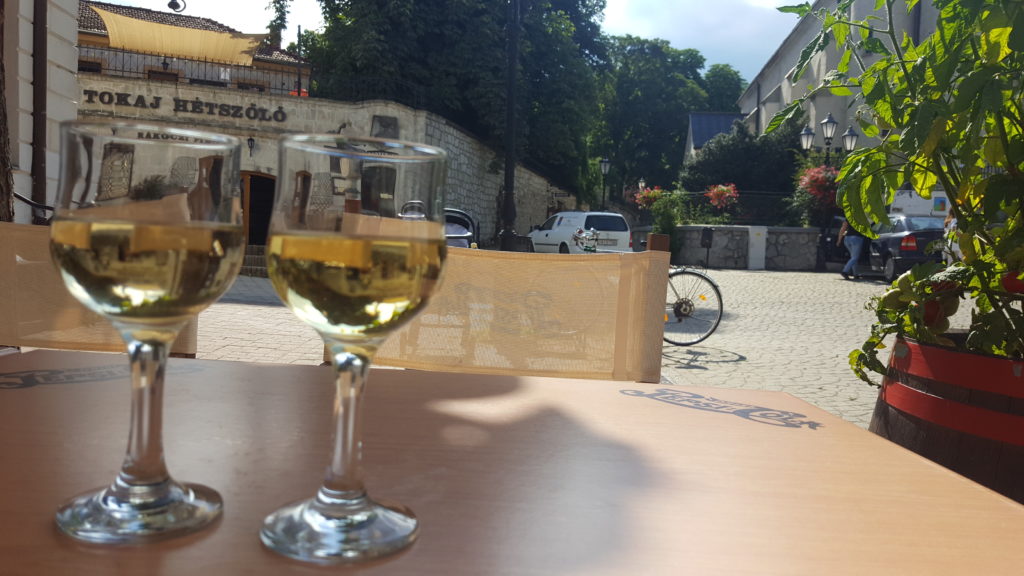 Degustacja Tokaja w Tokaju