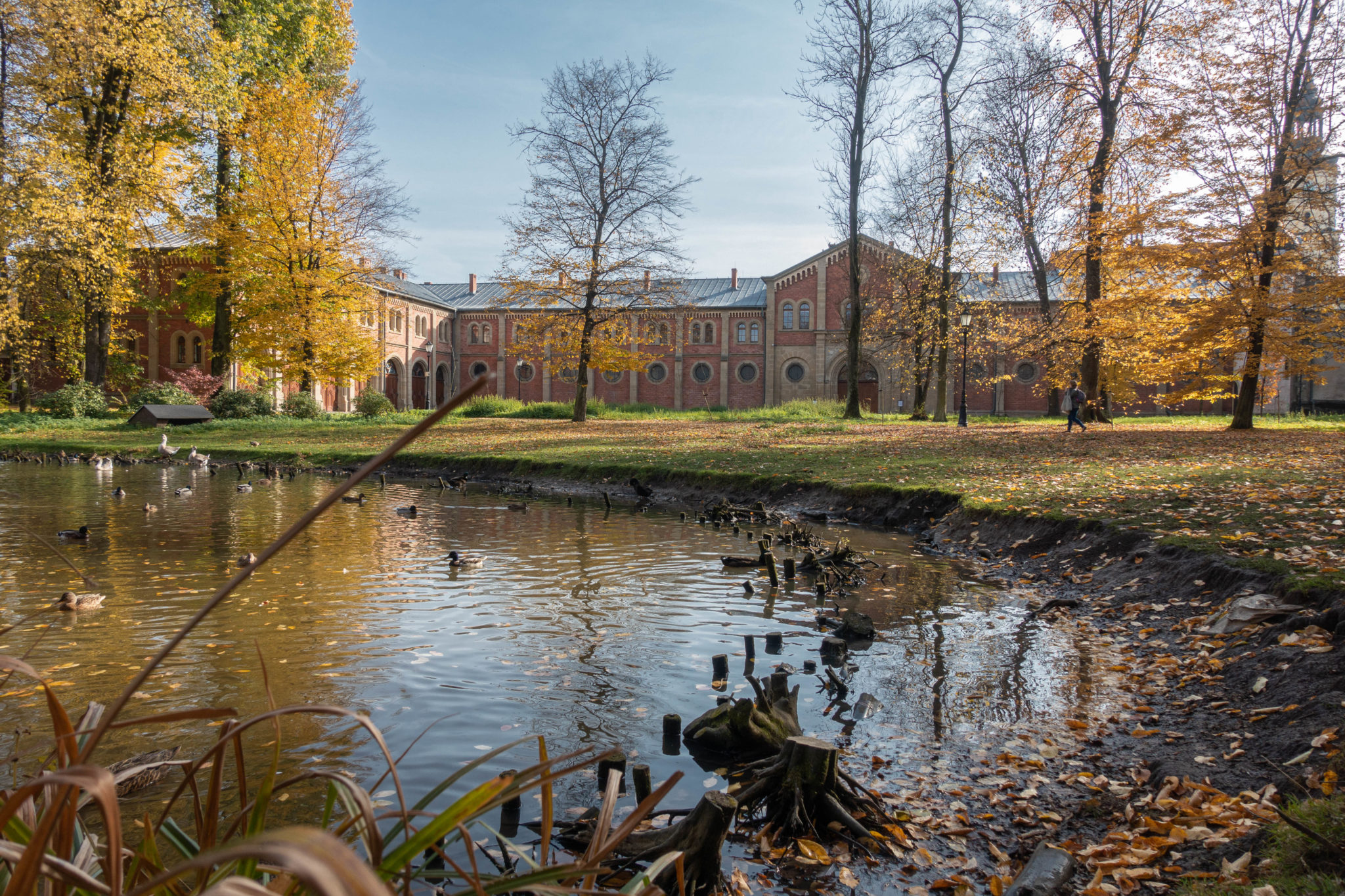 Pszczyna Atrakcje Parking Zwiedzanie Zamek W Pszczynie Pszczyna Atrakcje Parking Zwiedzanie Zamek W Pszczynie