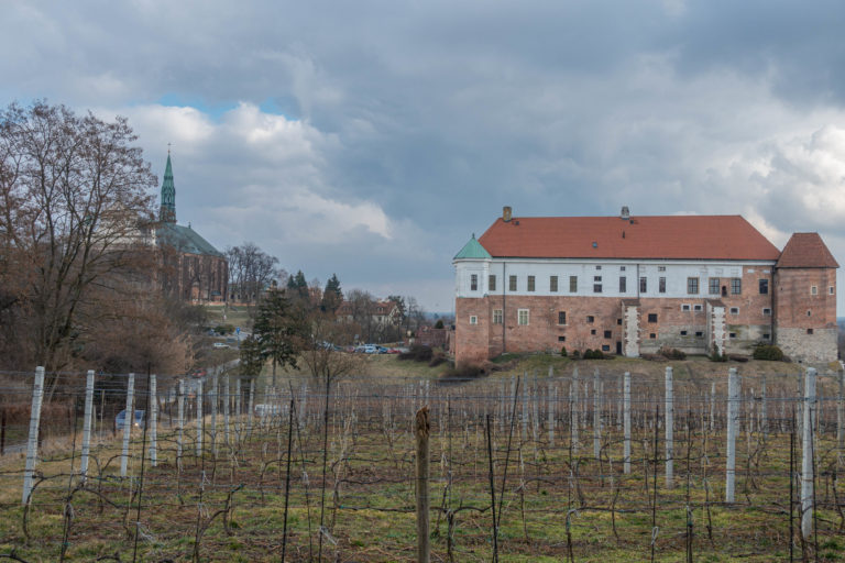 Zamek Kazimierzowski w Sandomierzu