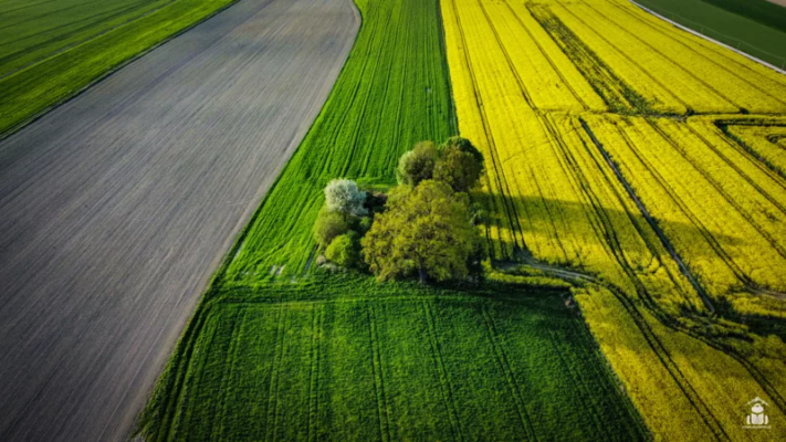 Goczałkowice Zdrój