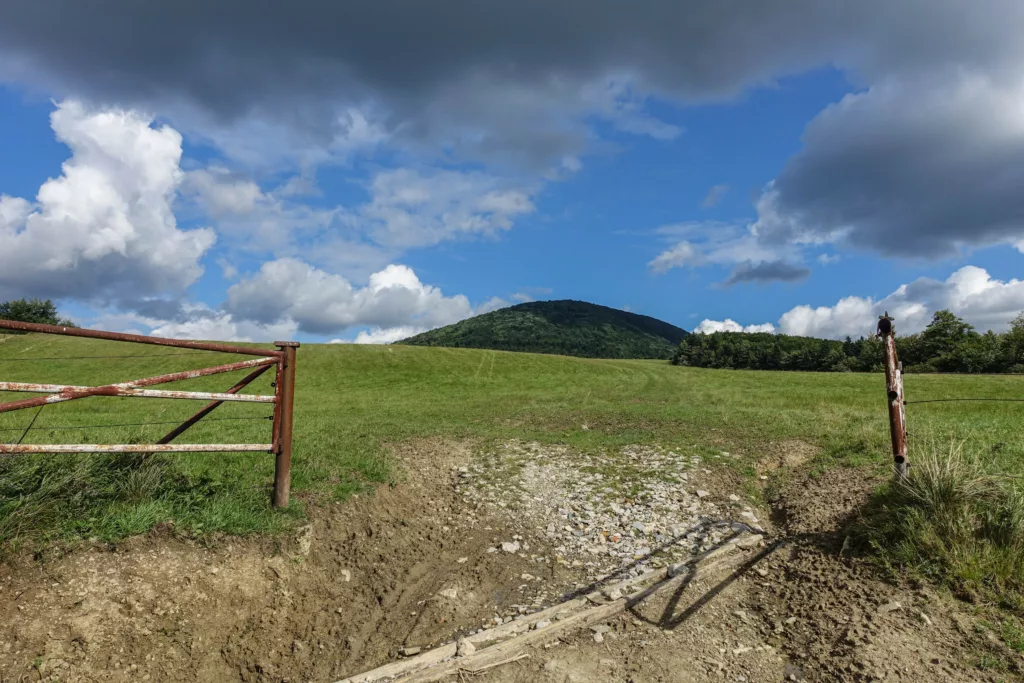 Szlak na Lackową w Beskidzie Niskim