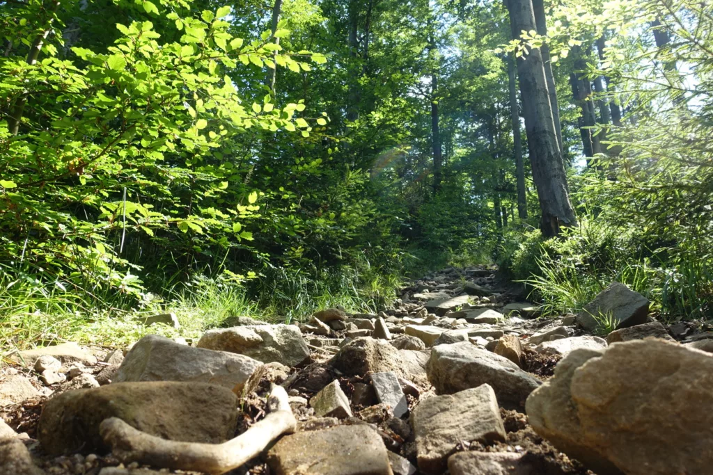 Beskid Mały Łamana Skała