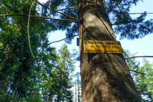 Łamana Skała parking i szlak z Rzyk