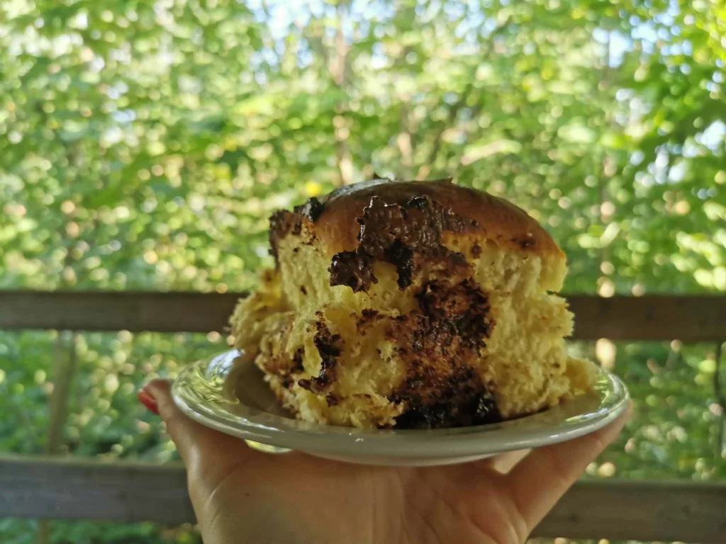 Jagodzianka w drodze na Łamaną Skałę