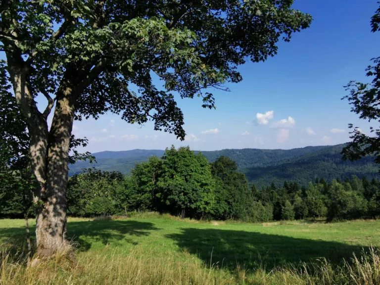 W drodze na Łamaną Skałę w Beskidzie Małym