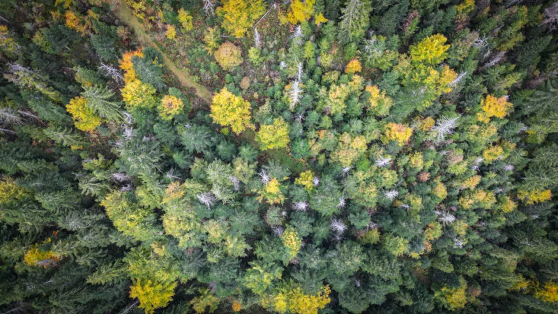 Luboń Wielki parking