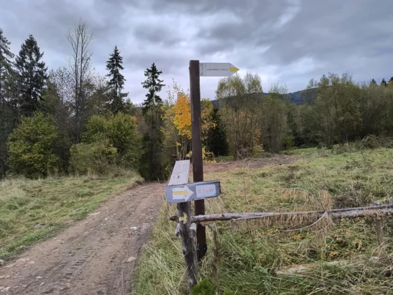 Luboń Wielki parking