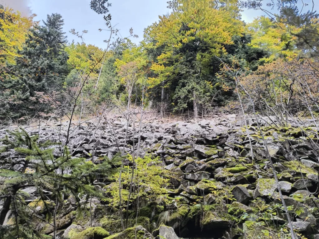 Luboń Wielki Gołoborza