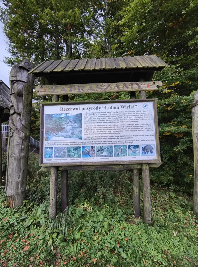 Szlak niebieski na Luboń Wielki z Rabki Zdrój