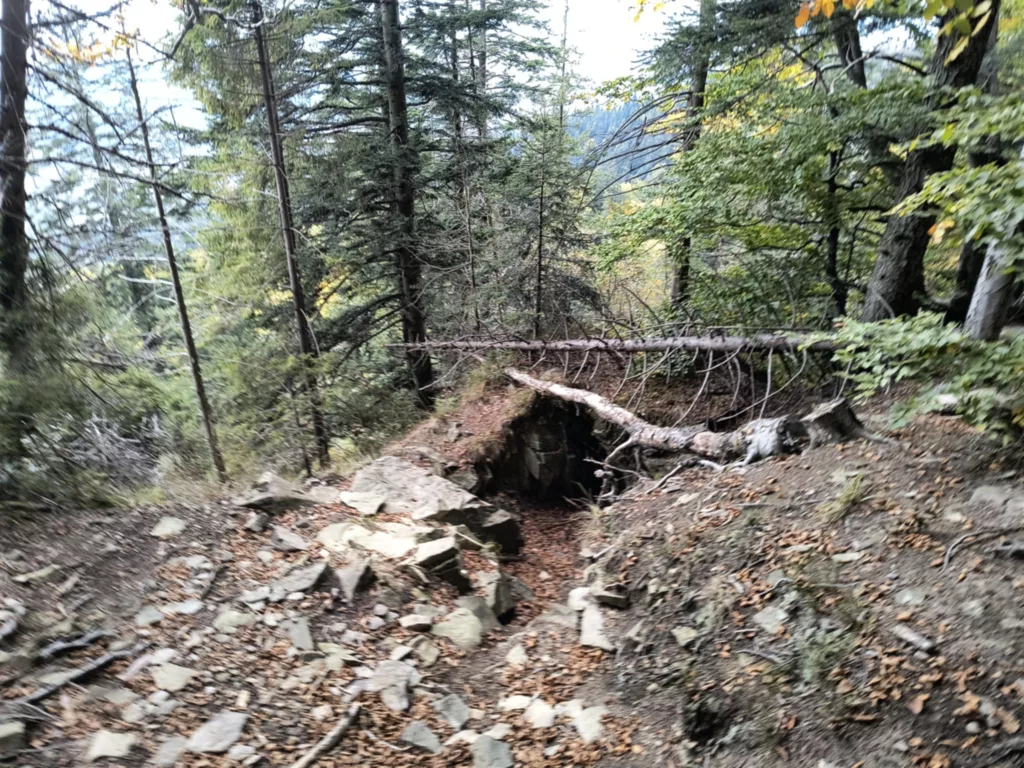 Pętla w Beskidzie Wyspowym