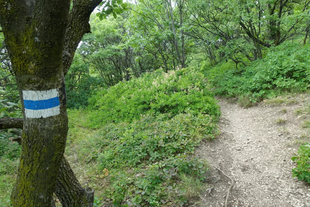 Szlaki trekingowe nad Balatonem