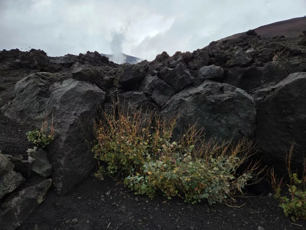 Sycylia Zachodnia atrakcje