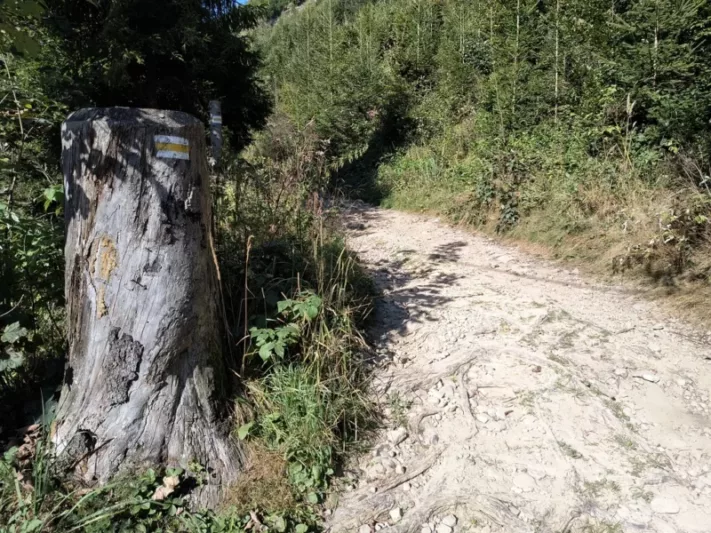 Żółty szlak na Wielką Raczę z Rycerki Górnej