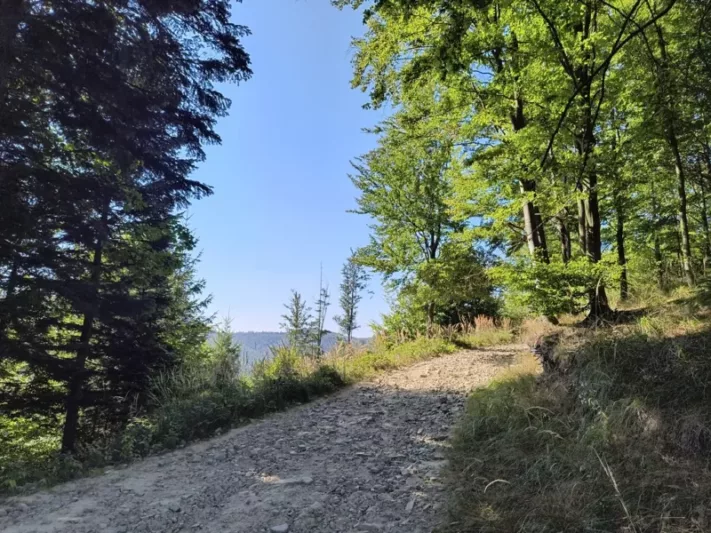 Żółty szlak na Wielką Raczę z Rycerki Górnej