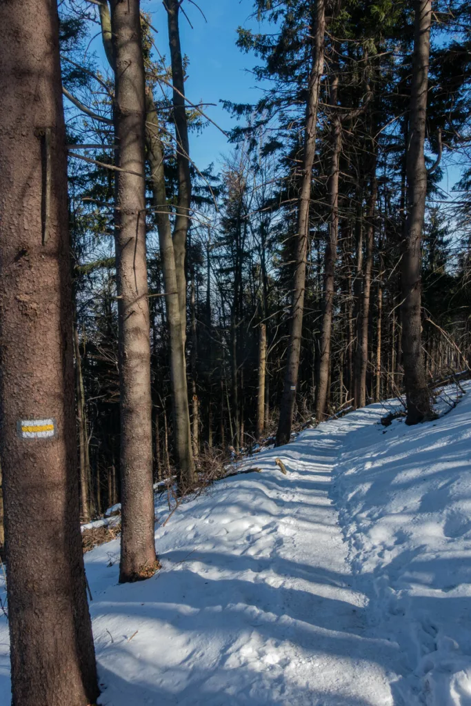 Szlak na Wielką Czantorię z Ustronia Jelenica