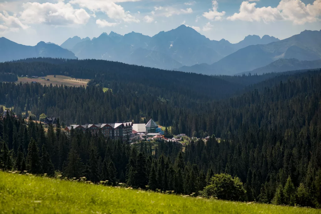 Bukowina