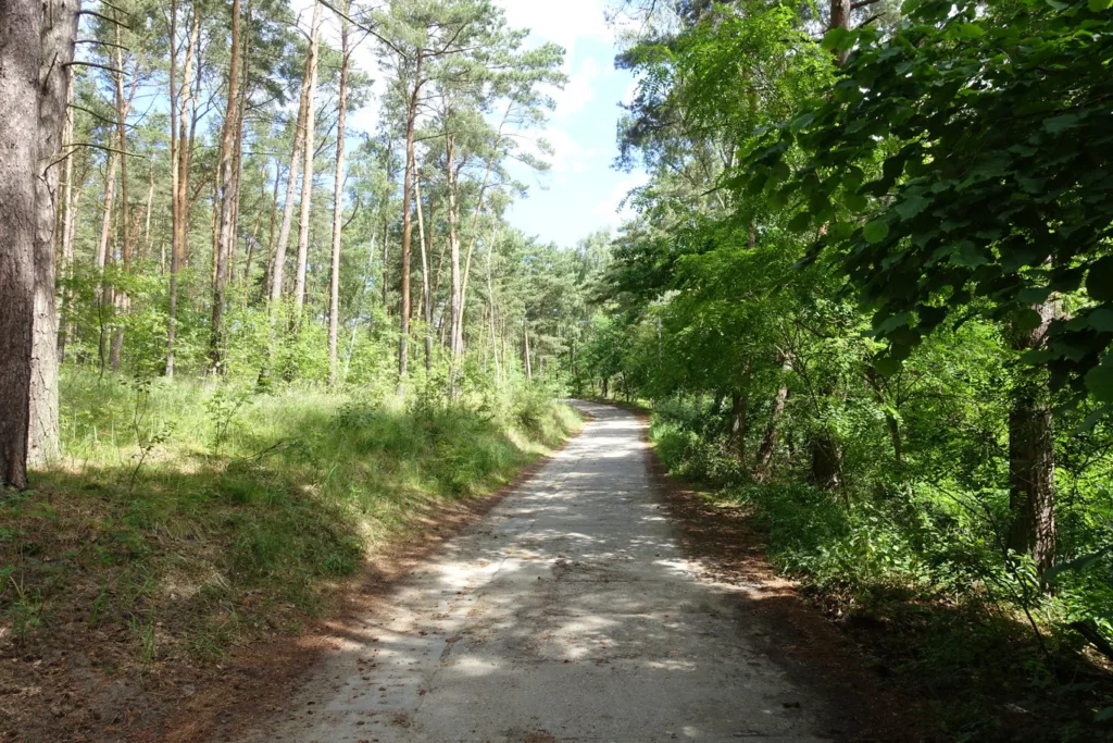 Granica Polski z Rosją w Piaskach